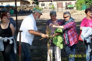 2014-06-07-7